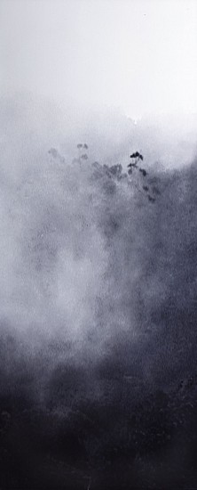 Craigie Horsfield, Towards Montana Pedraije, El Hierro
2001, Dry print on drawing paper