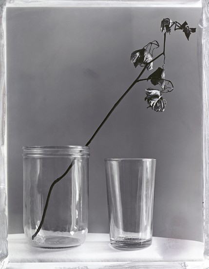Jeff Cowen, Nature Morte 10
2010, Gelatine silver print