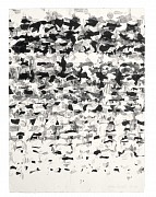antoine pentsch envol iii