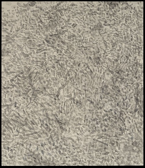 Yoshinori Onaga, Zone
2014