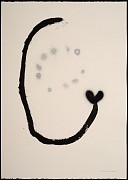 ip szh 01 i 01 copie