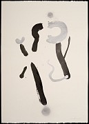 ip szh 01 l 01 copie